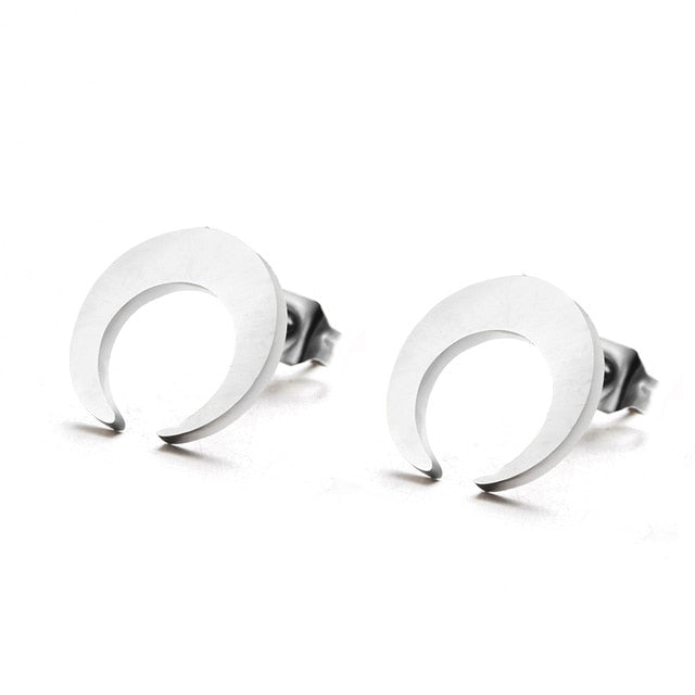 Multiple Silver Stainless Steel Cute Stud Earrings for Women Girls 2018 Fashion Minimalist Earrings Carnations Jewlery Gifts